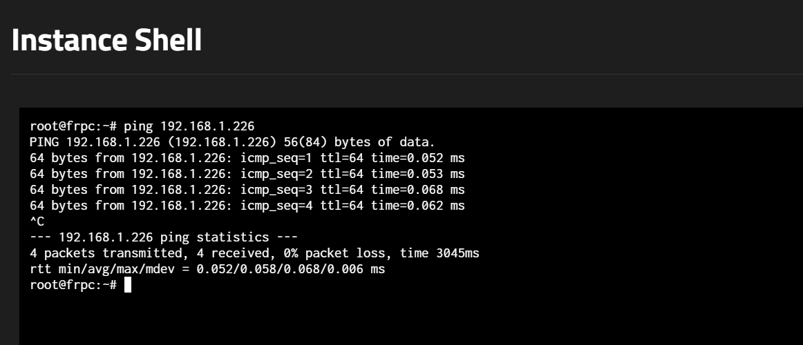ping test ping test