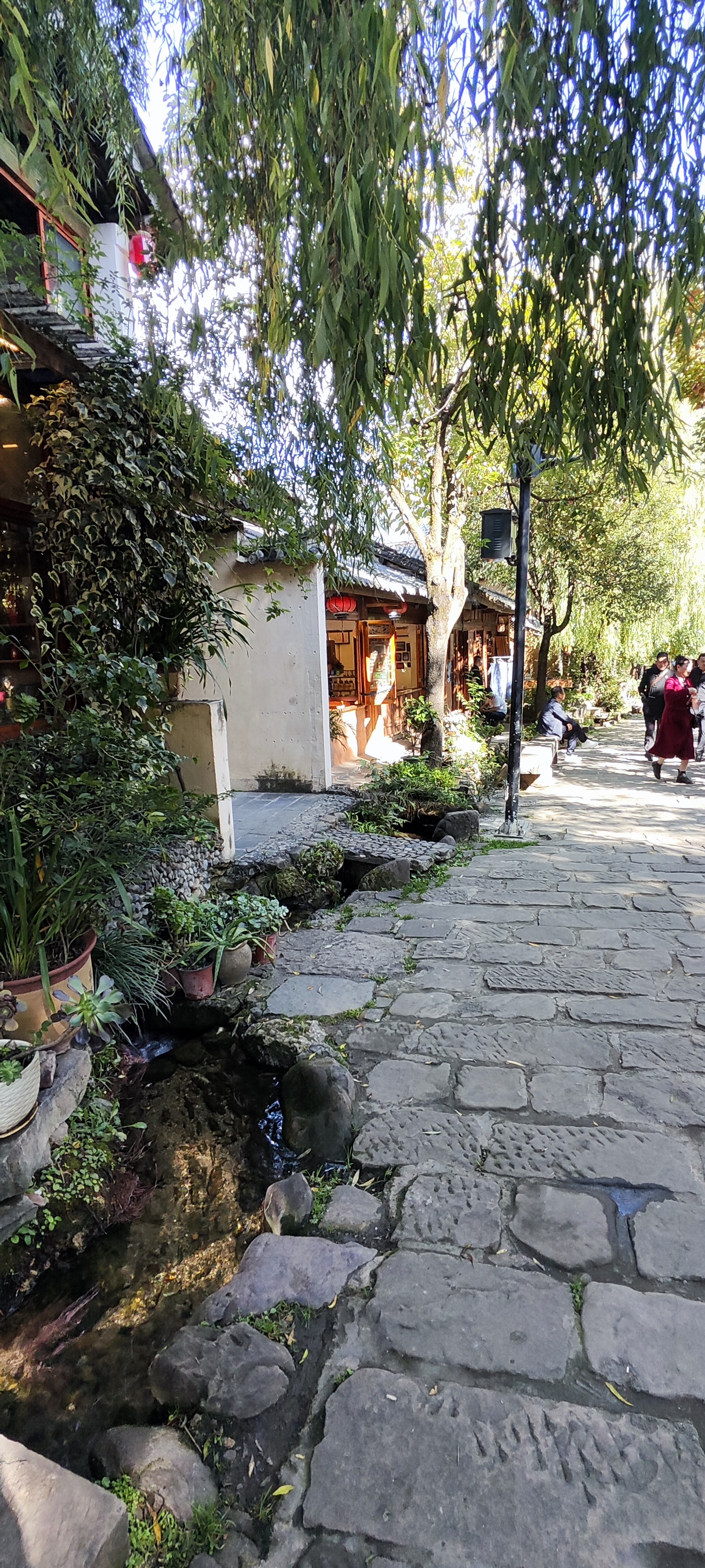 Shaxi Ancient Town