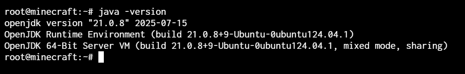 Java version check Java version check