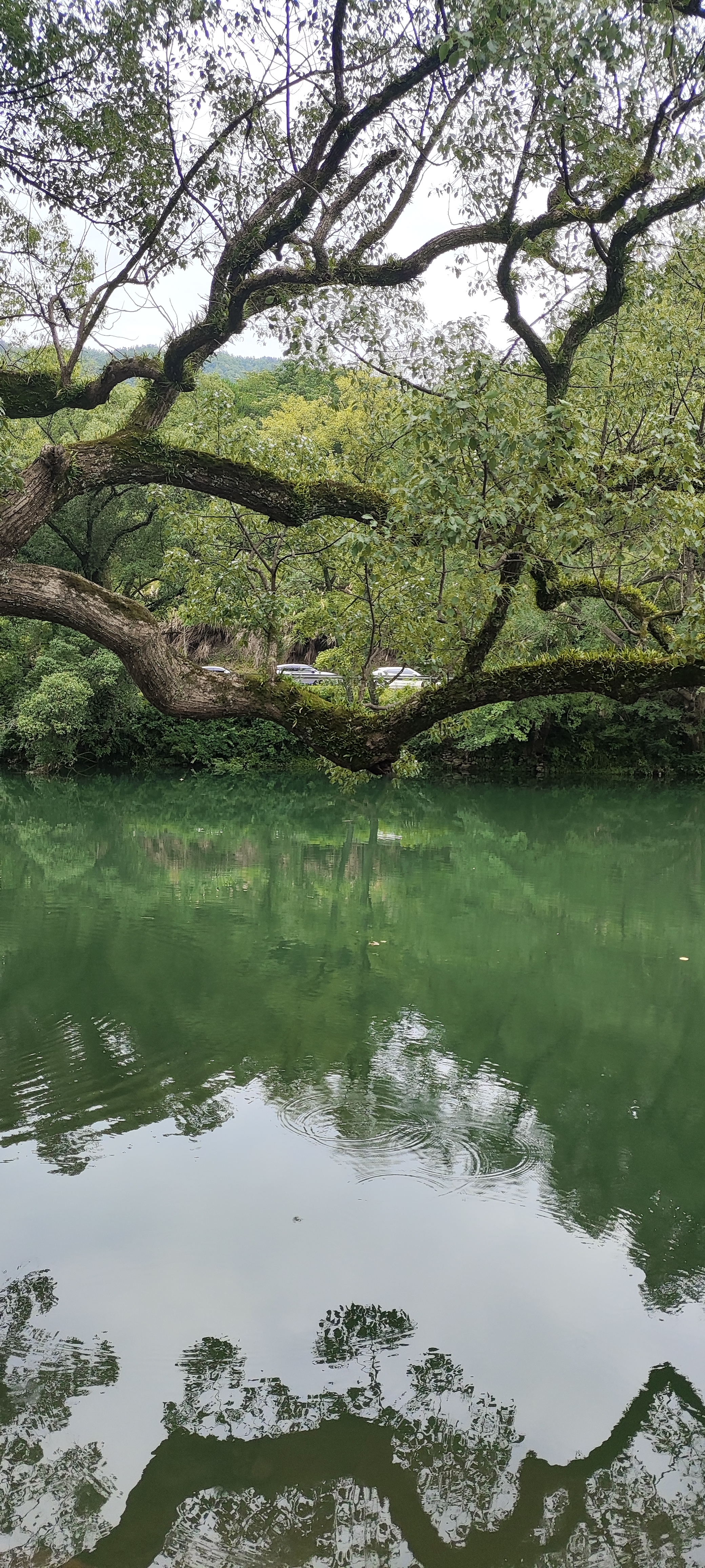 Wuyuan